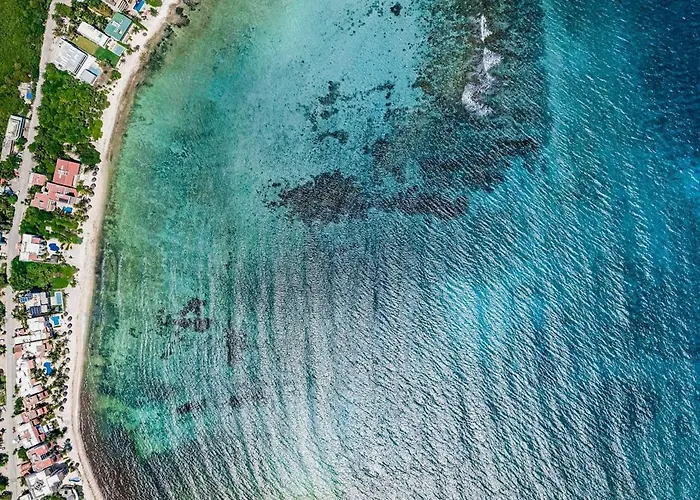 Resort 13bdr Bellamar - Private Chef - Beachfront - Weddings-business Retreats-golf-family